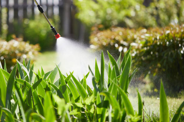 24/7 Emergency Termite Control experts in Trinidad, CO