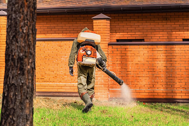 Top rated local Termite Control specialists in Trinidad, CO